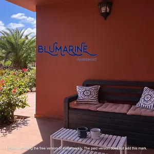 https://tamarindo-blumarine-pool-wifi-free-4-persons.hotelsfuerteventura.org